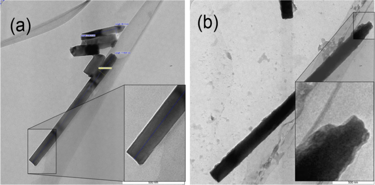 PMC5362154 – f0015