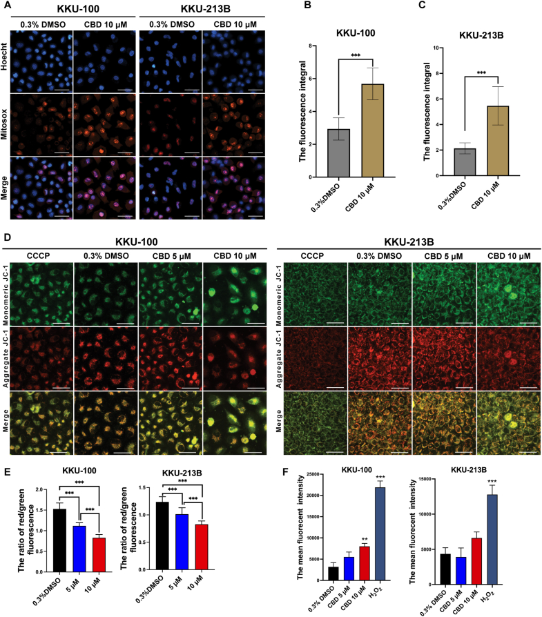 PMC11752120 – fig3