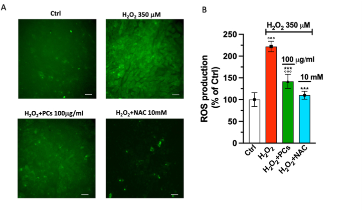 PMC11088244 – fig3