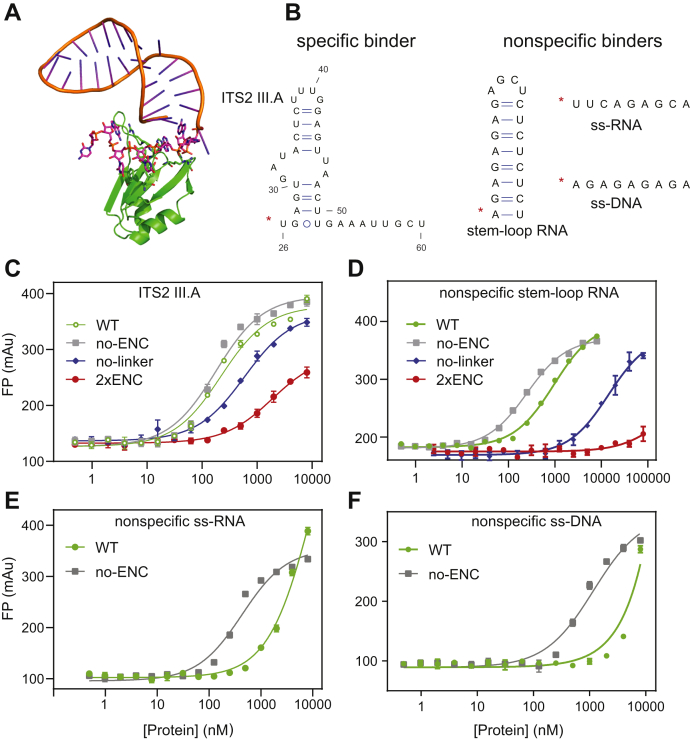 PMC8348266 – fig3