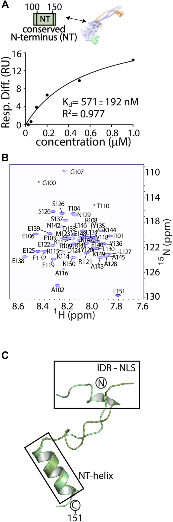 PMC11388019 – fig3