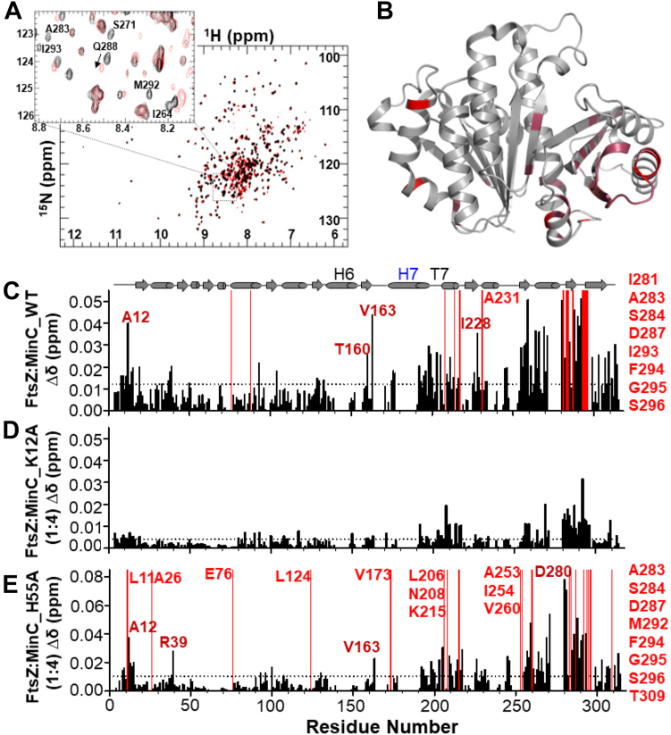 PMC11938149 – fig3