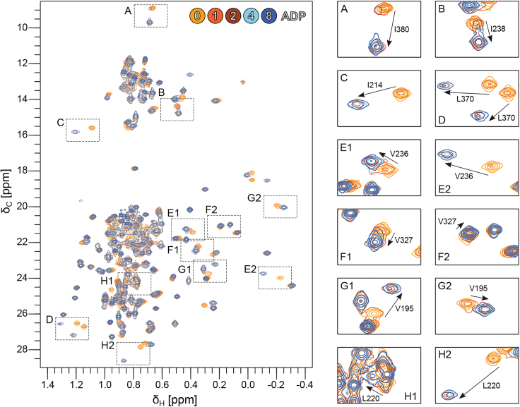 PMC11617632 – fig3