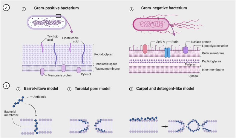 PMC12808496 – fig3