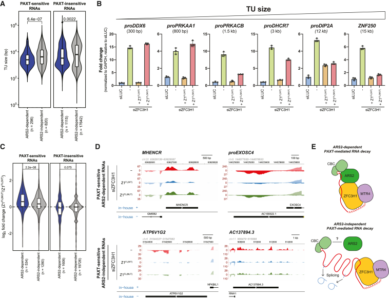 PMC10720265 – fig3