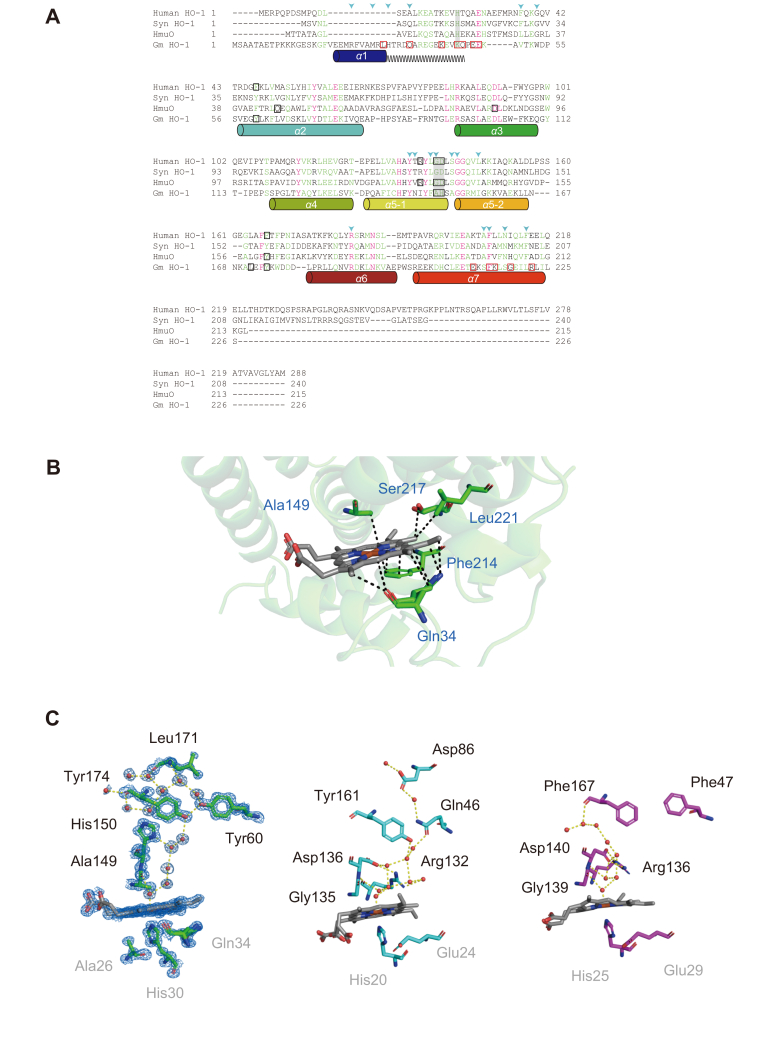 PMC7948506 – fig3