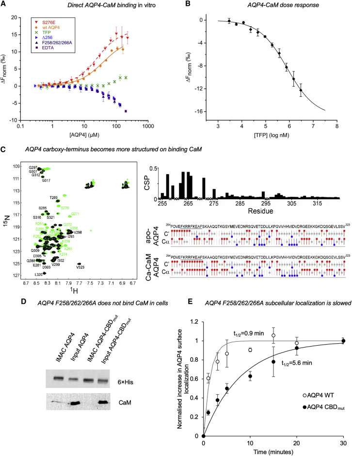 PMC7242911 – fig3