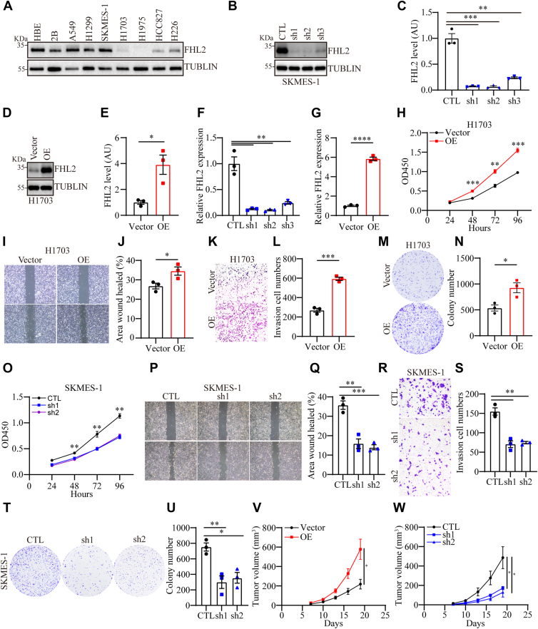 PMC12269609 – fig3