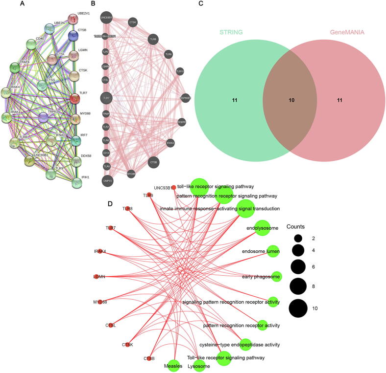 PMC10167782 – f0015