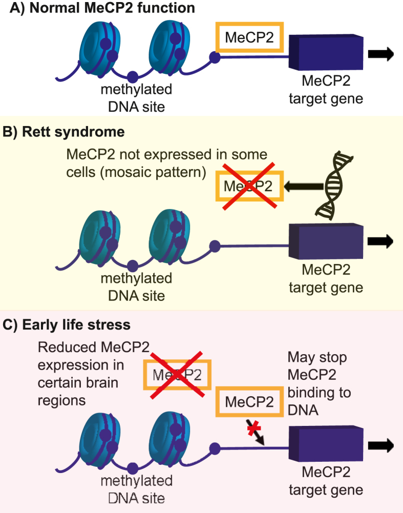 PMC12244188 – fig3