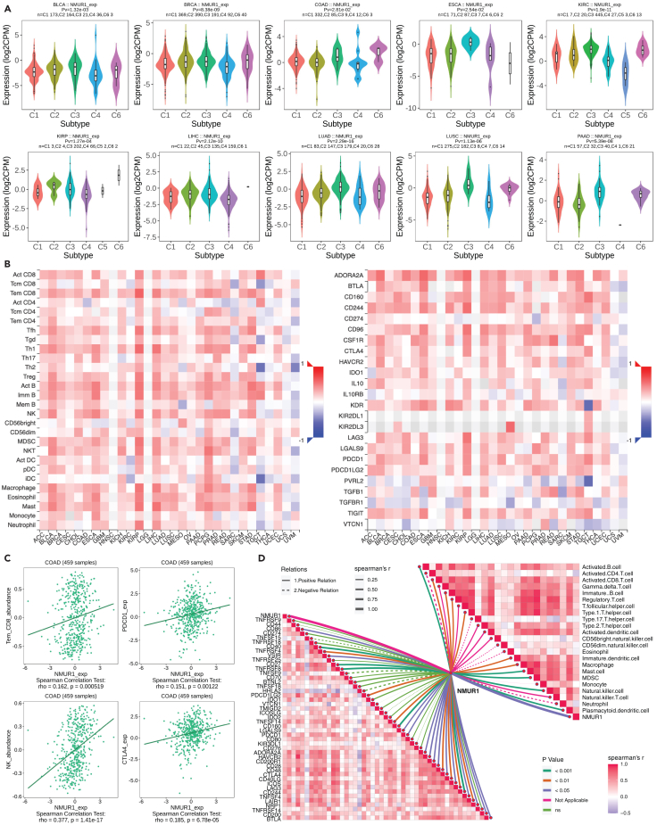 PMC11269305 – fig3