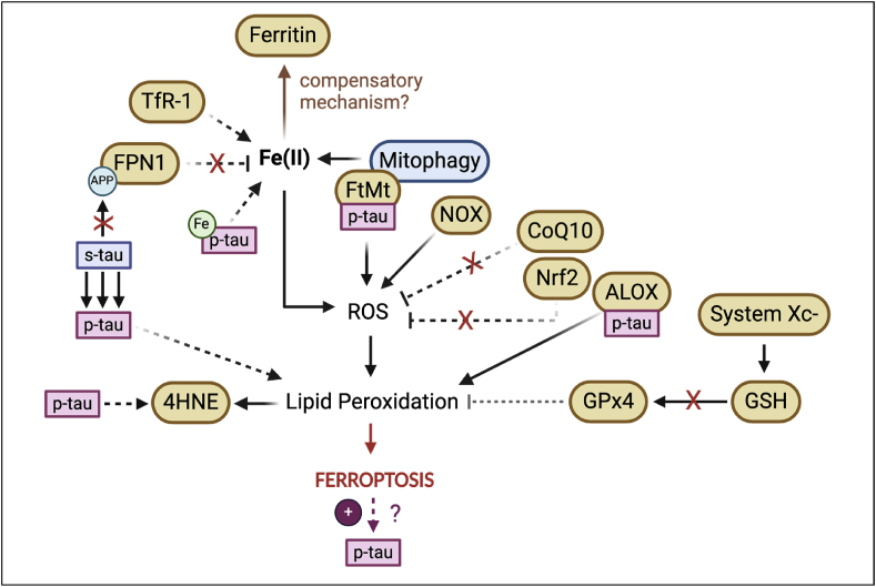 PMC11732237 – fig3