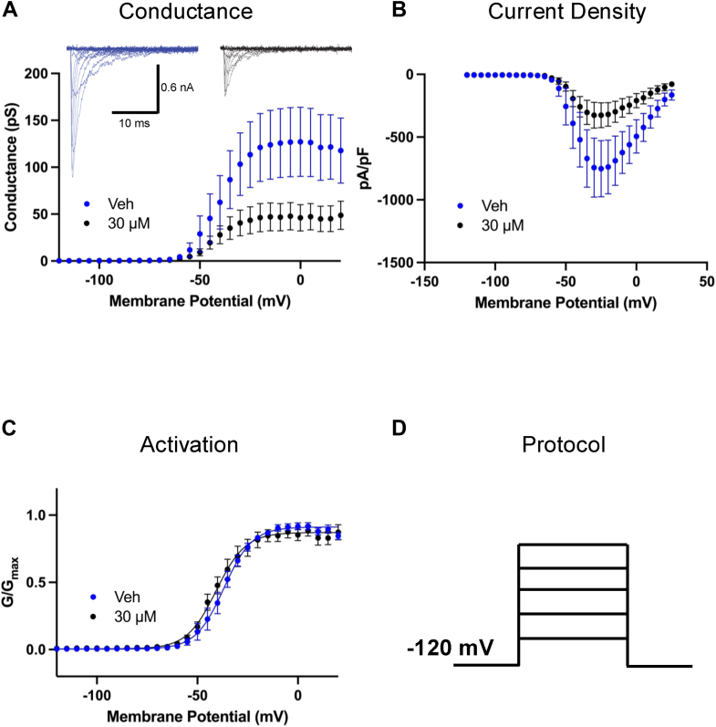 PMC12004706 – fig3