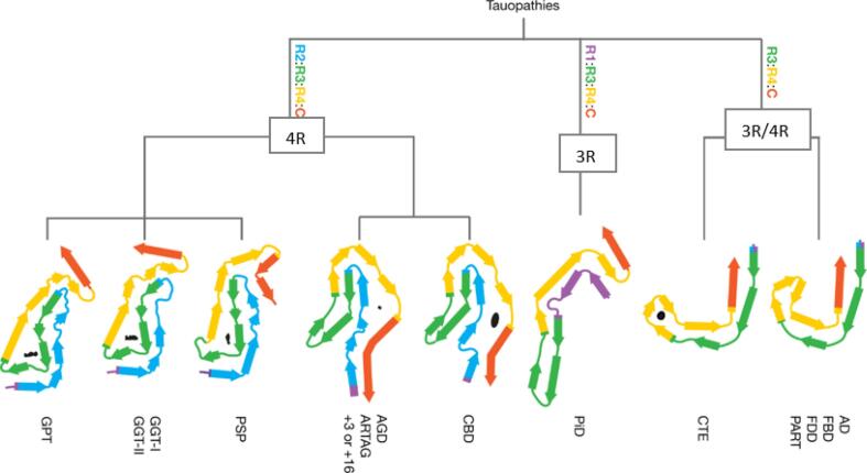 PMC9307942 – f0015