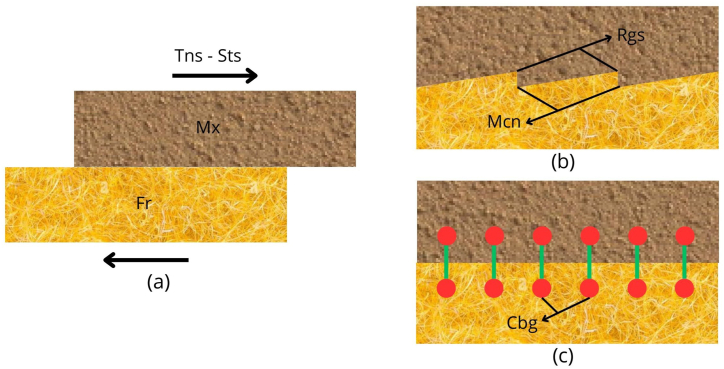 PMC11783020 – fig3