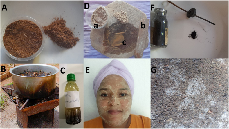 PMC11334832 – fig3