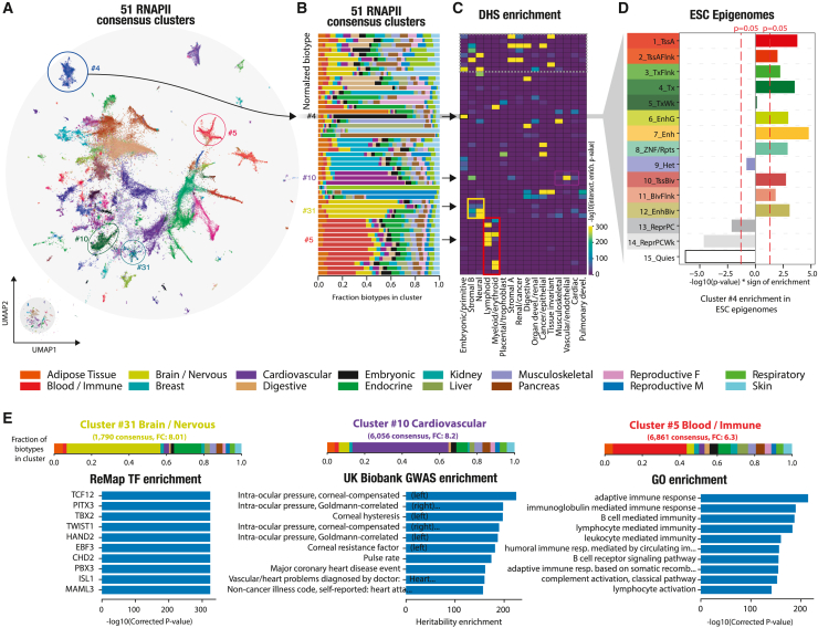 PMC10589727 – fig3