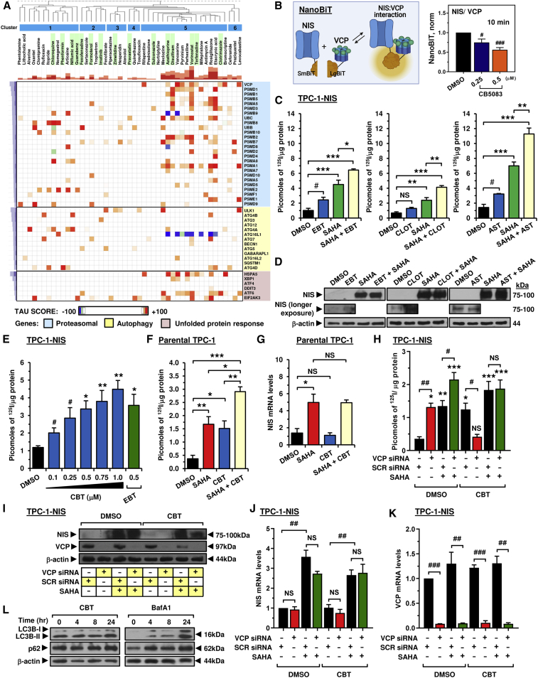 PMC8958605 – fig3