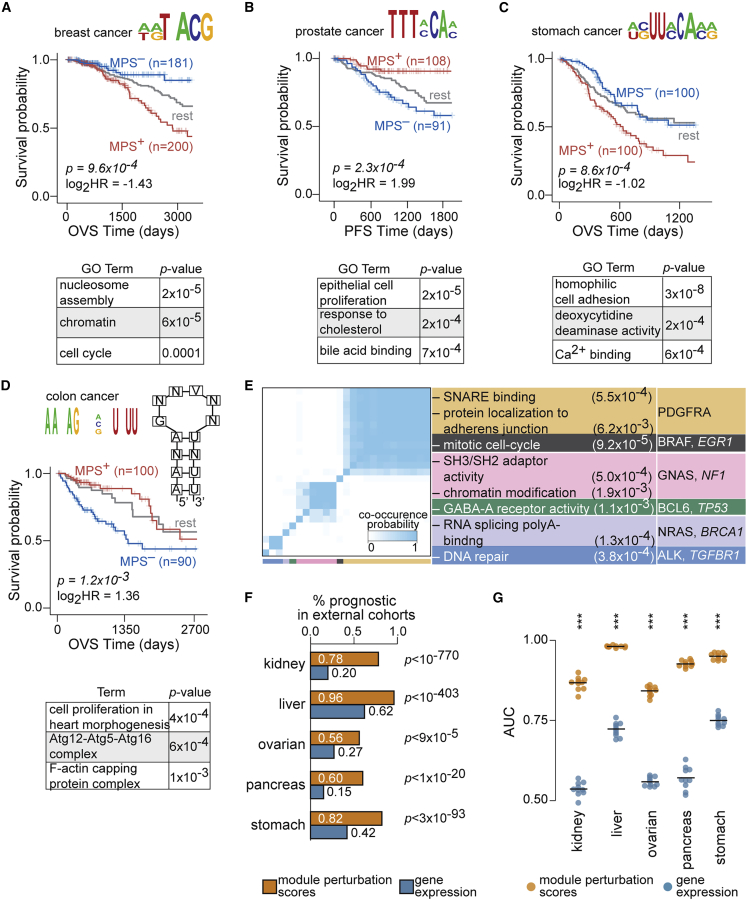 PMC10025453 – fig3