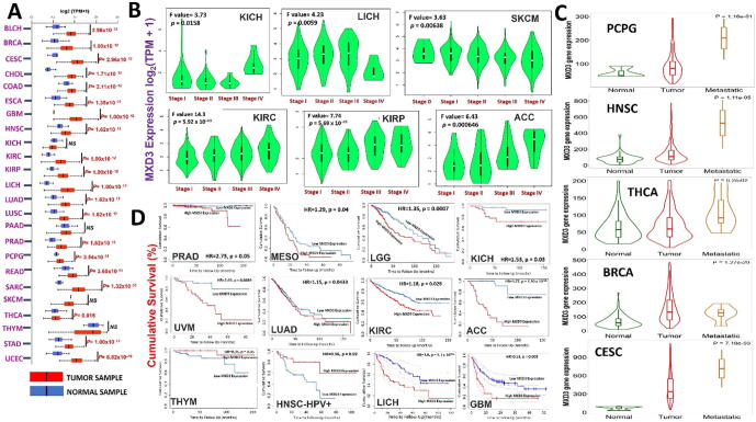 PMC8441106 – f0015