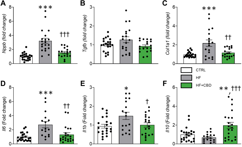 PMC12230462 – fig3