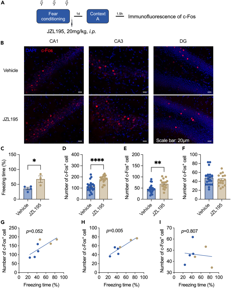 PMC10839683 – fig3