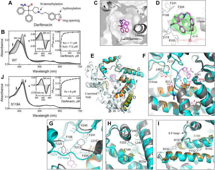 PMC12538432 – fig3