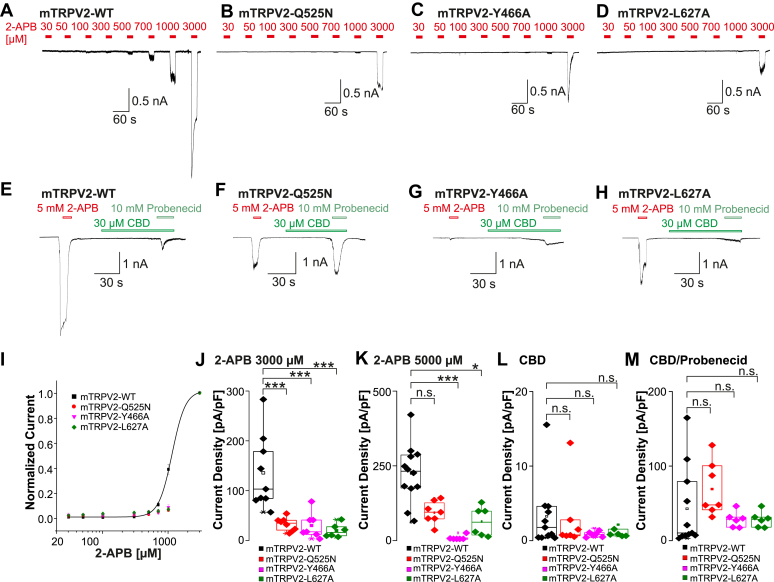 PMC12489355 – fig3