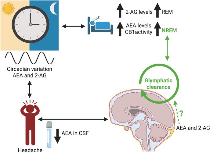 PMC12996789 – fig3