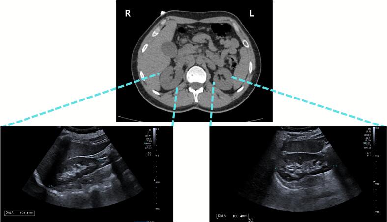 PMC13020055 – f0015