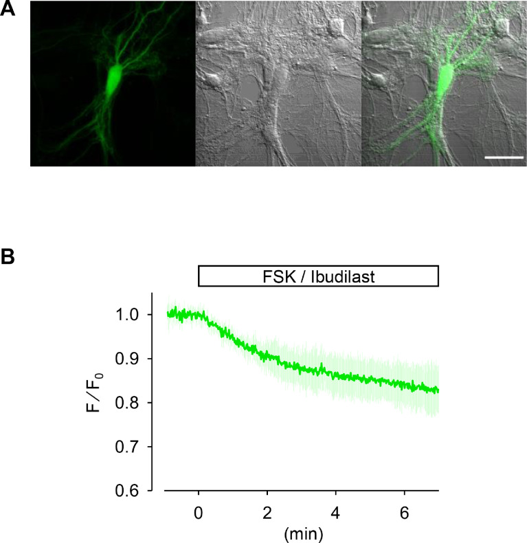 PMC9283500 – fig0003