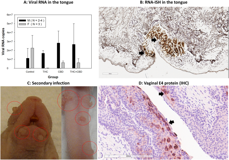 PMC11731512 – fig4
