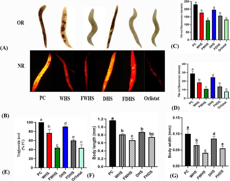 PMC10901904 – f0020