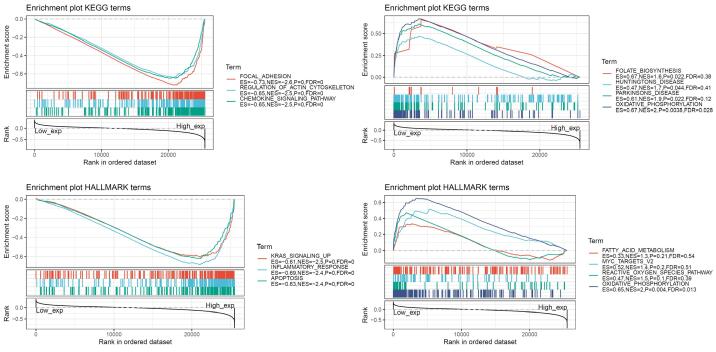 PMC9234055 – f0020