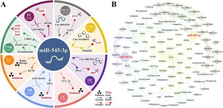 PMC11252520 – fig4