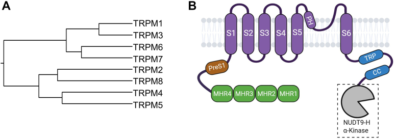 PMC12799467 – fig4