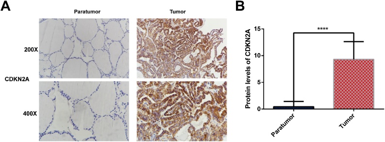 PMC11848474 – fig0020
