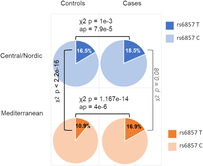 PMC11267522 – fig4