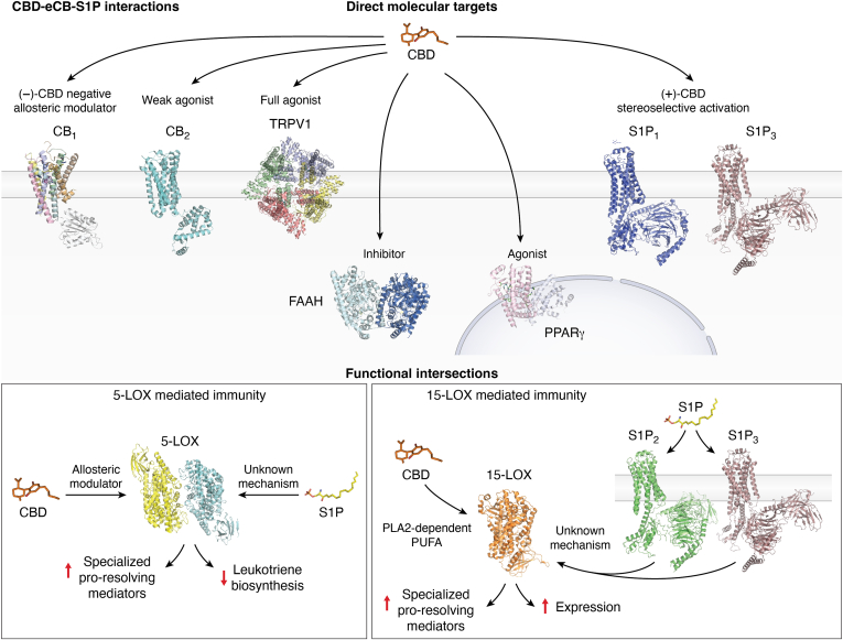 PMC12597274 – fig4