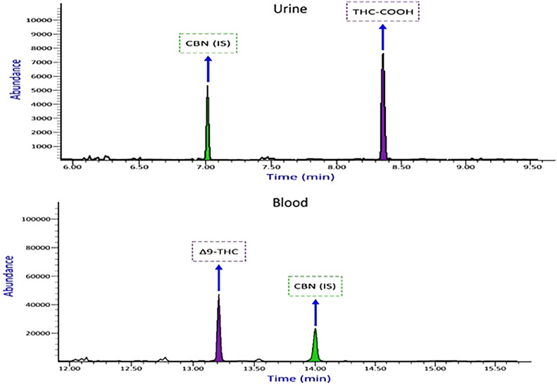 PMC11480513 – fig0004