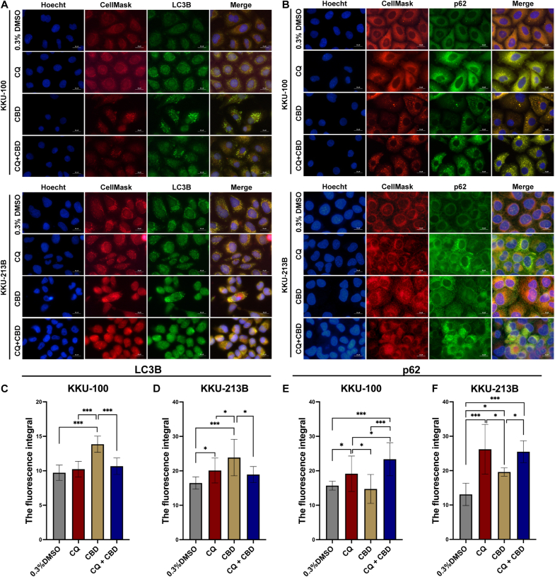 PMC11752120 – fig4