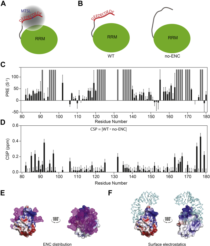PMC8348266 – fig4