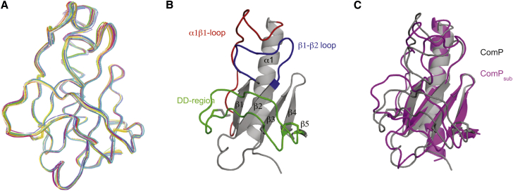 PMC4906244 – fig4