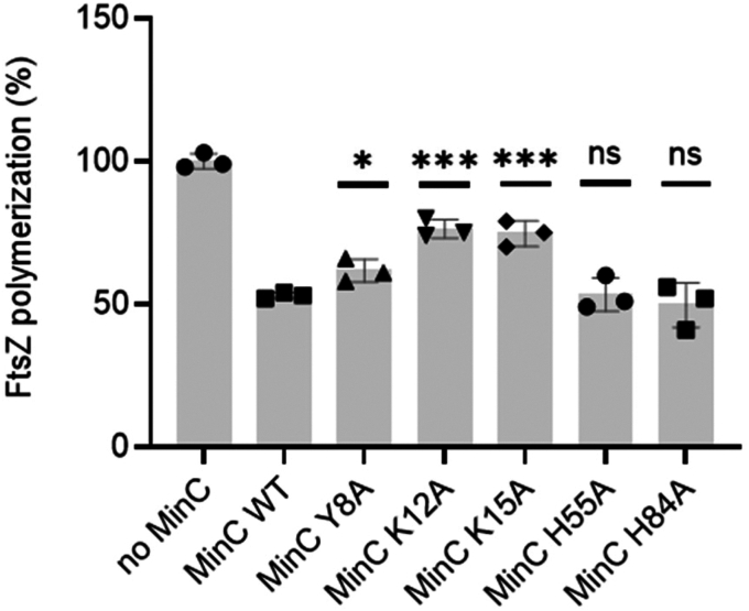 PMC11938149 – fig4