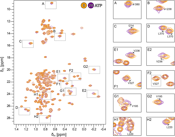 PMC11617632 – fig4