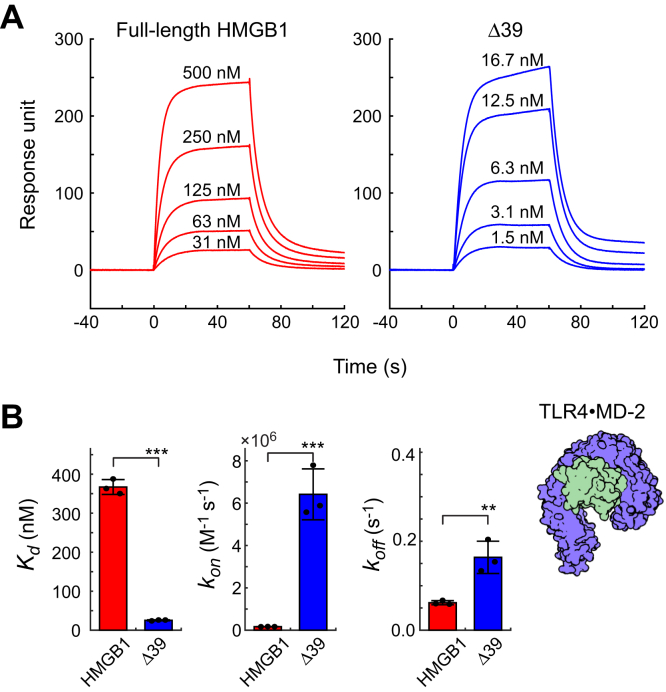 PMC9664404 – fig4