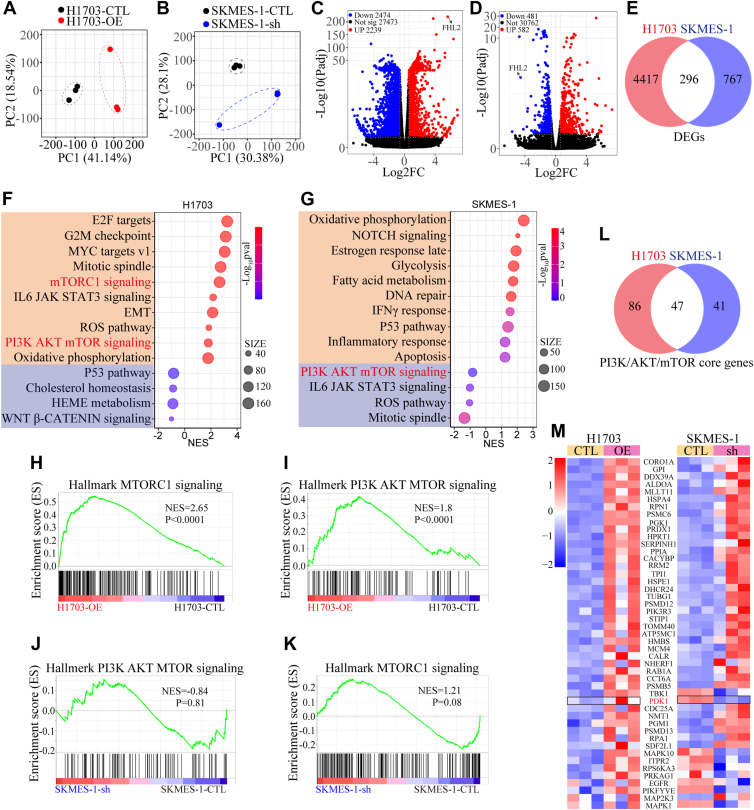 PMC12269609 – fig4