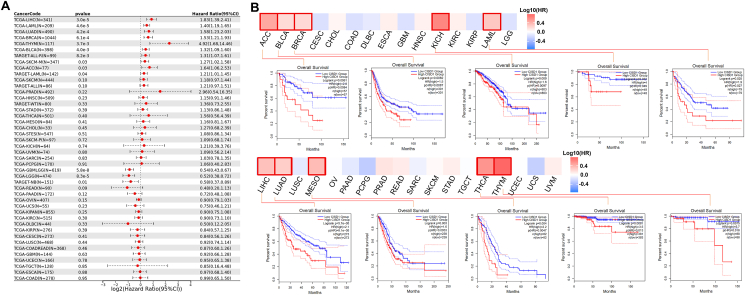 PMC12359157 – fig4