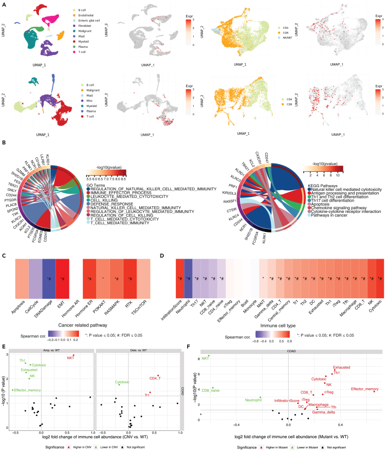 PMC11269305 – fig4