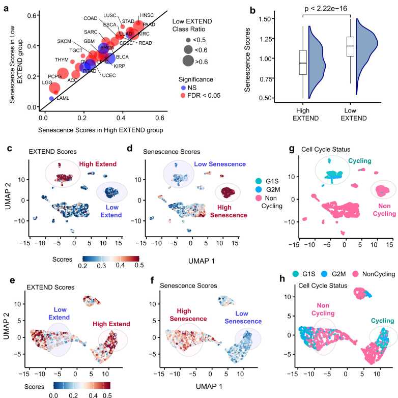 PMC12663852 – fig0020